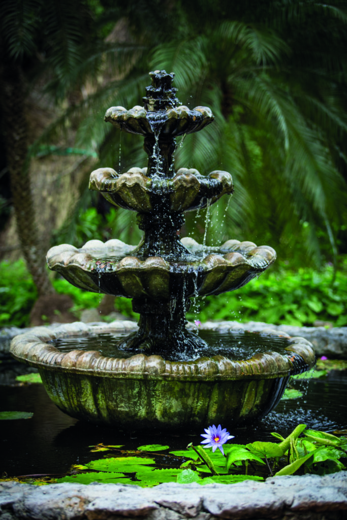 The Queen Elizabeth II Botanic Park fountain