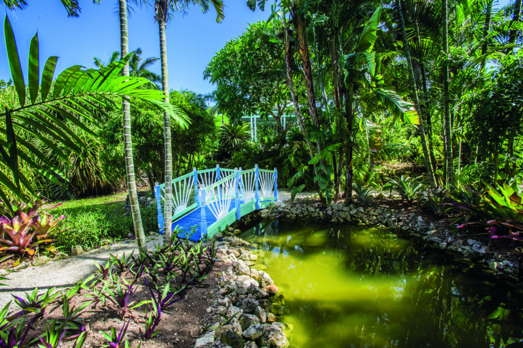 The Queen Elizabeth II Botanic Park bridge