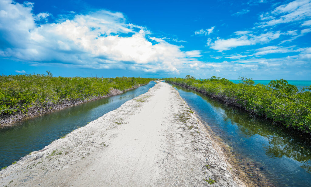 A marl road winds through the mangroves at Barkers