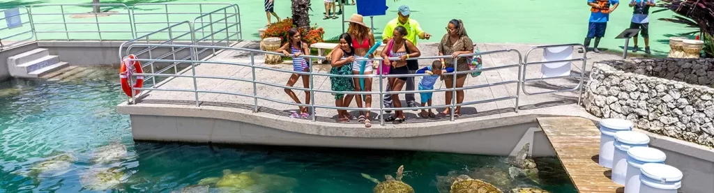 Cayman Turtle Centre