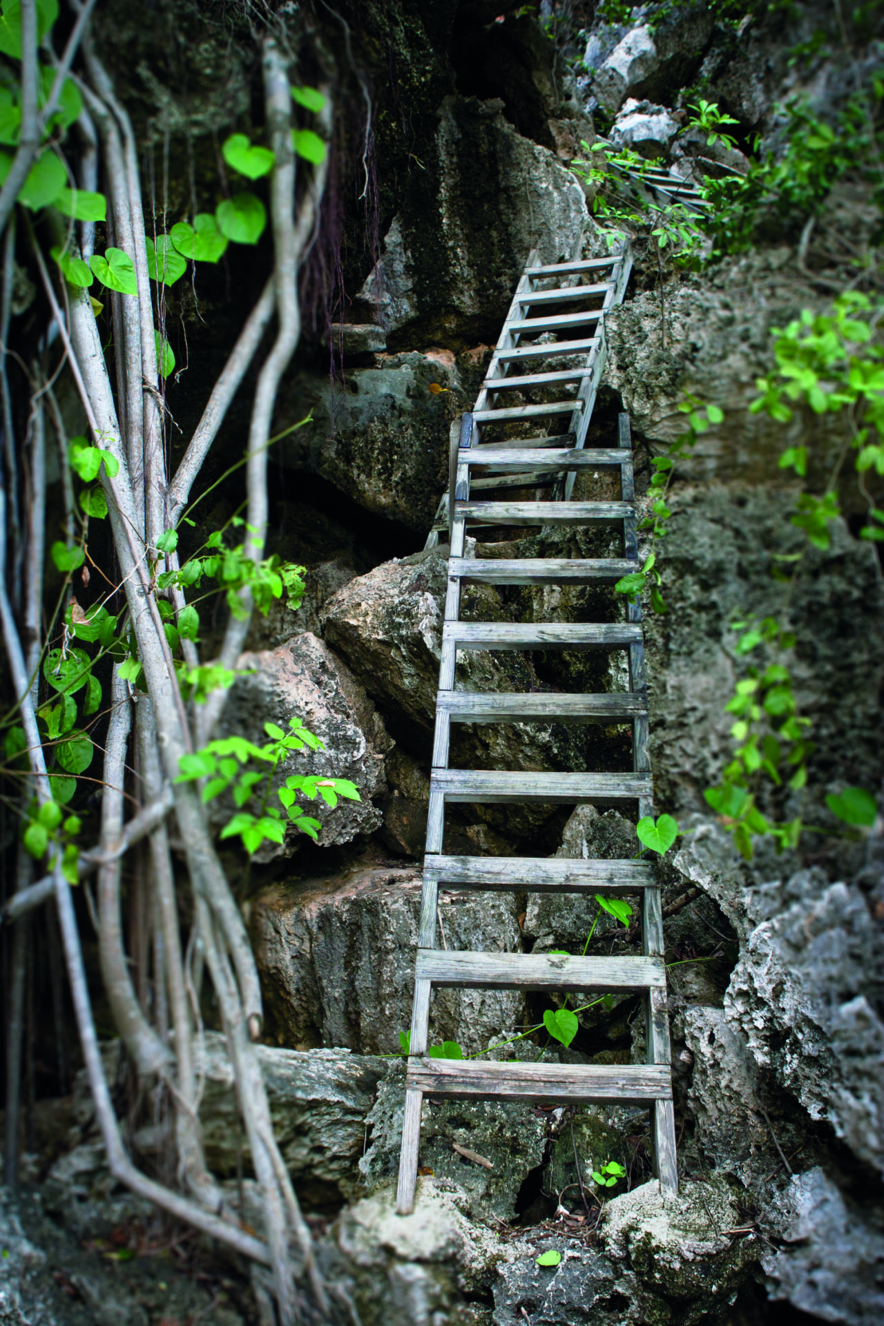 Cayman Brac ladder to cave